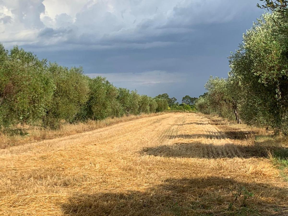 Agriturismo Beveraggio Appartamenti Marina di Grosseto Bagian luar foto